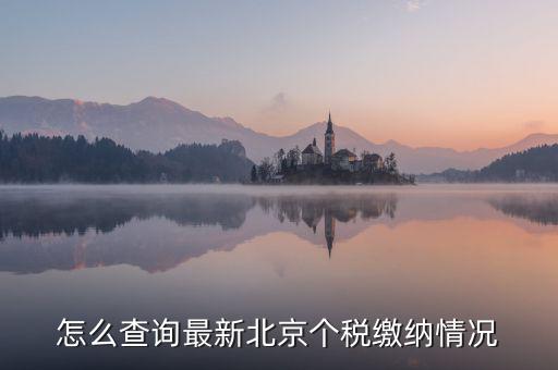 北京市 欠稅人員如何查詢，稅務欠稅信息如何查詢