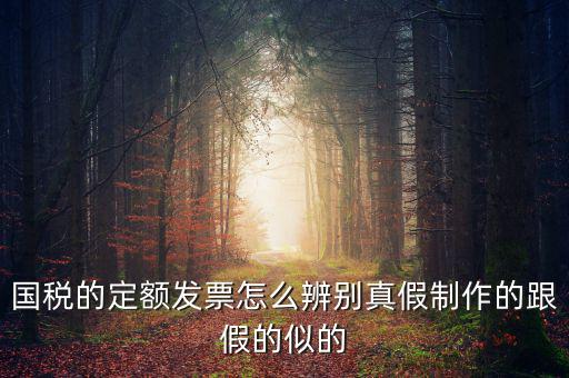 如何驗(yàn)證定額發(fā)票，國(guó)稅的定額發(fā)票怎么辨別真假制作的跟假的似的