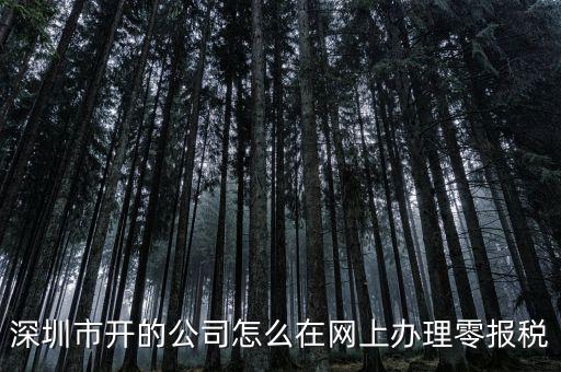深圳如何在網(wǎng)上辦理納稅，深圳市開的公司怎么在網(wǎng)上辦理零報稅