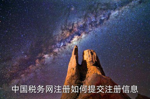 中國稅務(wù)網(wǎng)注冊如何提交注冊信息