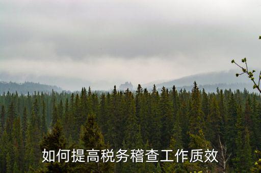 如何提高稅務稽查工作質效