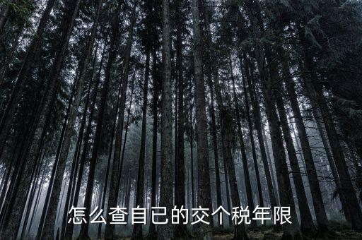 如何查詢納稅期限，怎么查自已的交個(gè)稅年限