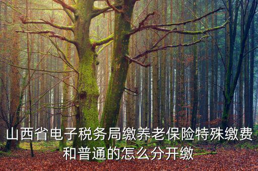 山西養(yǎng)老保險(xiǎn)如何和國稅局對接，交養(yǎng)老保險(xiǎn)交到國家稅務(wù)總局怎么辦