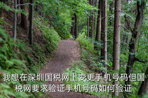 我想在深圳國稅網(wǎng)上變更手機(jī)號(hào)碼但國稅網(wǎng)要求驗(yàn)證手機(jī)號(hào)碼如何驗(yàn)證