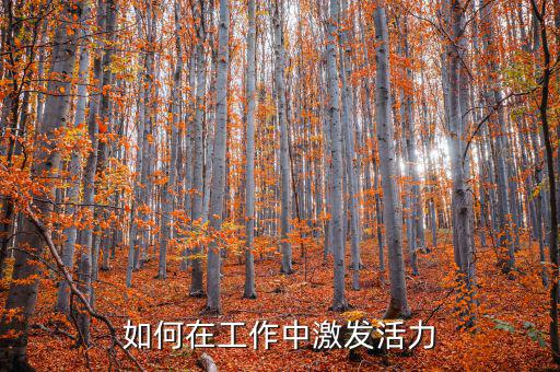 如何激發(fā)稅務干部的活力，在稅收工作中如何激發(fā)下屬的潛力
