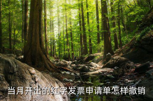 如何撤銷紅字發(fā)票申請書，紅字申請單如何作廢