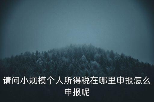 如何申報(bào)自然人兩處所得，請(qǐng)問(wèn)小規(guī)模個(gè)人所得稅在哪里申報(bào)怎么申報(bào)呢