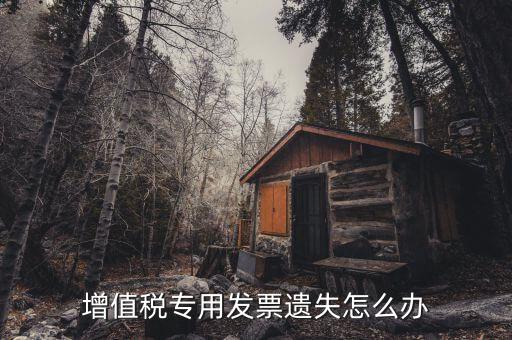 丟失專用發(fā)票如何，丟失空白增值稅專用發(fā)票如何處理