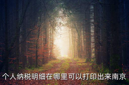 如何打印個稅明細，個人納稅明細在哪里可以打印出來南京