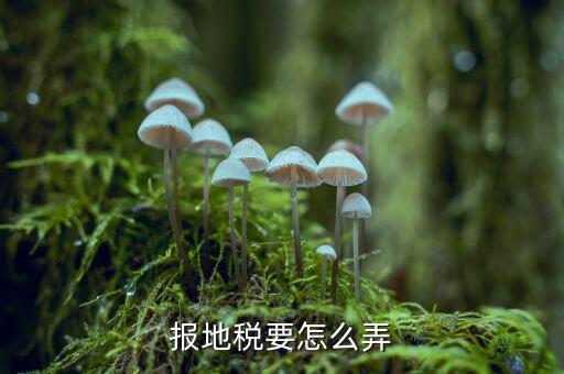 北京地稅存貨損失如何申報(bào)，北京的國(guó)稅和地稅的年報(bào)怎么做具體在網(wǎng)上什么位置以及流程有木