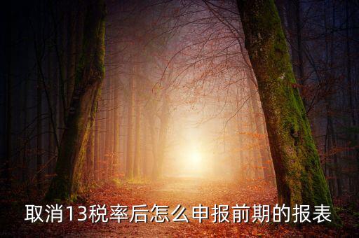 取消13稅率申報表如何填，13的稅率沒了納稅申報以后怎么辦