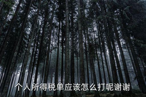 如何打印個(gè)人所得稅清單，請(qǐng)問如何打印個(gè)人個(gè)人所得稅繳款單據(jù)