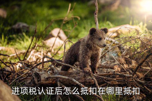 動產(chǎn)進項稅如何抵扣，進項稅是怎么個抵扣法