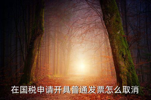 網(wǎng)上申領(lǐng)發(fā)票如何撤銷，已經(jīng)申報了的發(fā)票怎么作廢