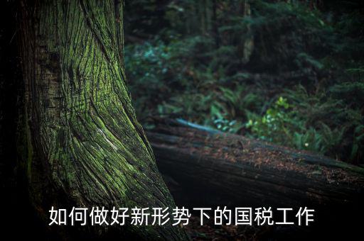 如何貫徹國稅工作會議上的講話，如何貫徹落實國稅系統(tǒng)化政府采購工作規(guī)范