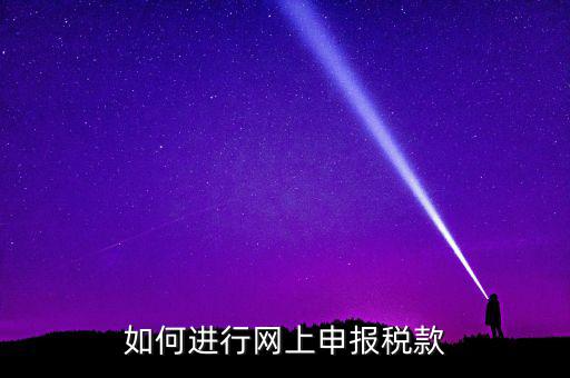 稅務如何在線申報，如何網(wǎng)上稅務申報