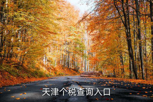 天津個稅如何查詢密碼，天津個稅查詢入口