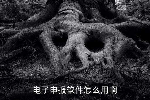 濟(jì)南電子稅務(wù)如何使用，網(wǎng)上辦稅平臺(tái)手機(jī)app怎么操作