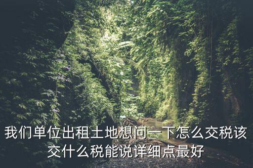 土地出租如何征稅，我們單位出租土地想問一下怎么交稅該交什么稅能說詳細(xì)點(diǎn)最好