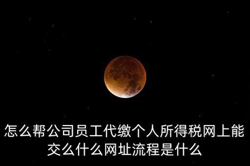 怎么幫公司員工代繳個人所得稅網上能交么什么網址流程是什么