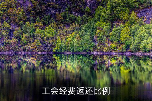 稅務(wù)局代收工會(huì)經(jīng)費(fèi)如何返還，工會(huì)經(jīng)費(fèi)交稅務(wù)局怎么返還
