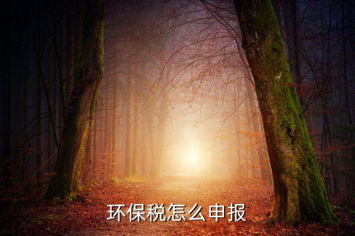 環(huán)境保護稅b類如何申報表，環(huán)保稅申報步驟是什么
