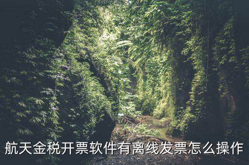 如何設(shè)置離線開票，金稅系統(tǒng)開票機(jī)怎樣恢復(fù)離線時(shí)限