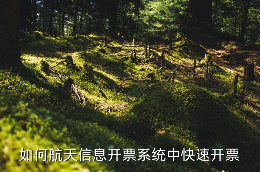 航天信息如何開票，怎么在航天信息開票軟件開紅字發(fā)票