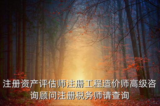 如何查詢稅務師信息，注冊稅務師報名時的信息哪里能查到