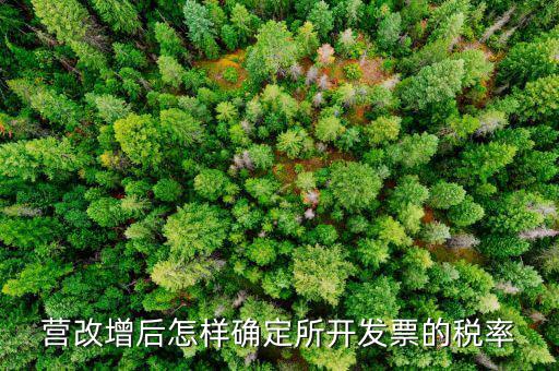 開票時稅率如何確認，發(fā)票的稅是怎么算的是不是數(shù)額越大要繳稅的百分比就越大比