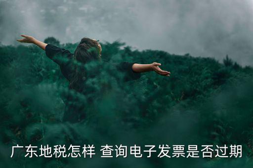 如何查詢電子發(fā)票是否有效，廣東地稅怎樣 查詢電子發(fā)票是否過期