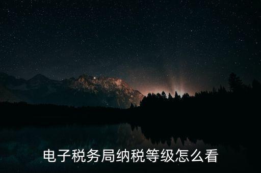 a級納稅人如何查詢，電子稅務局納稅等級怎么看
