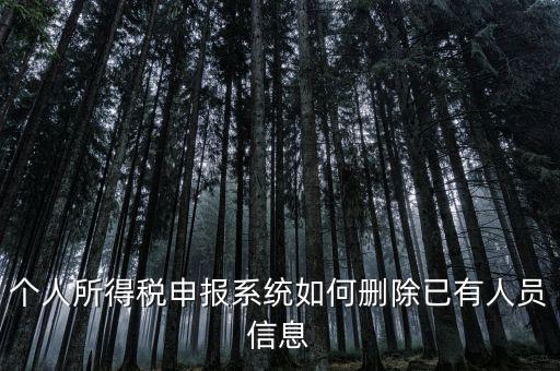 金三系統(tǒng)個(gè)稅申報(bào)人員如何刪除，如何刪掉個(gè)人所得稅人員信息