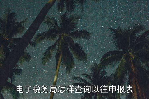 電子稅務局怎樣查詢以往申報表