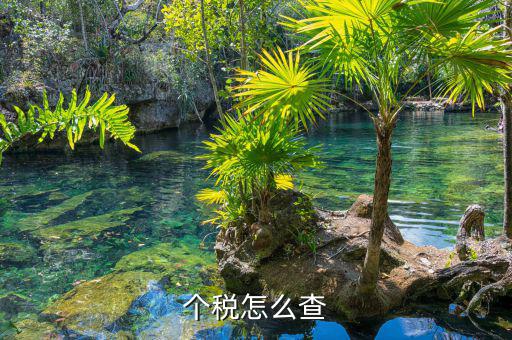 如何查詢個(gè)人稅，個(gè)稅怎么查