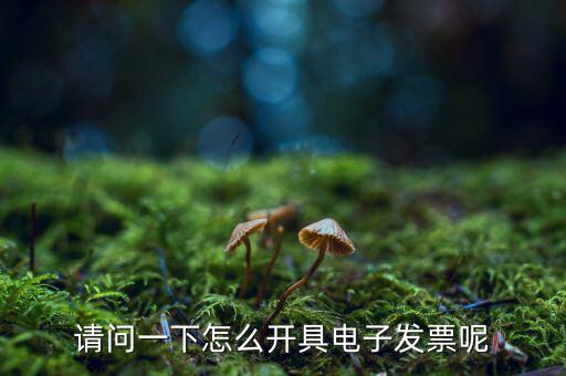 上海如何申領(lǐng)電子發(fā)票，請問一下怎么開具電子發(fā)票呢