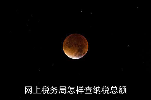 國稅局如何查稅，網(wǎng)上稅務(wù)局怎樣查納稅總額