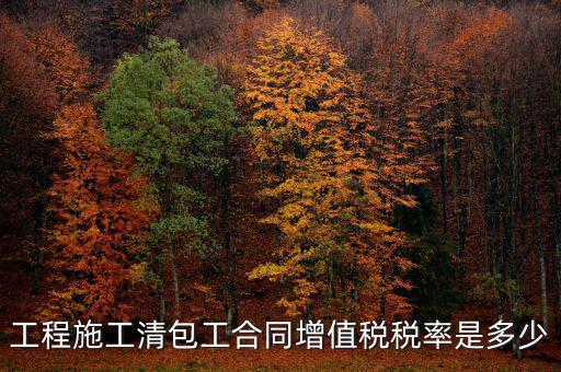 清包工 如何稅務(wù)，一般納稅人去國稅說明是清包工怎么寫說明