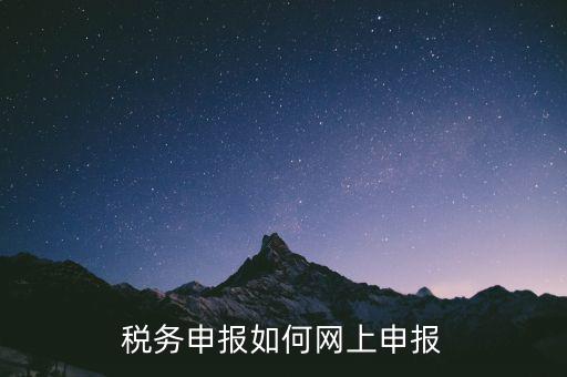網(wǎng)上系統(tǒng)如何申報稅，稅務(wù)申報如何網(wǎng)上申報