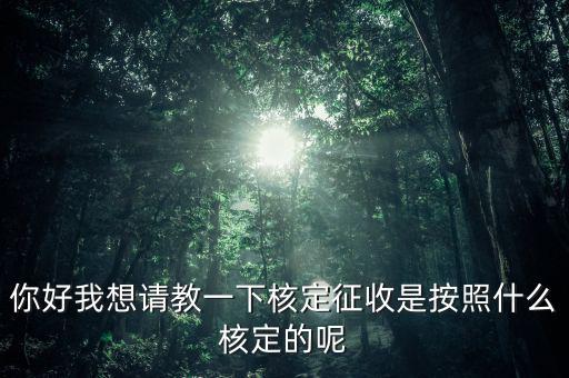 你好我想請(qǐng)教一下核定征收是按照什么核定的呢