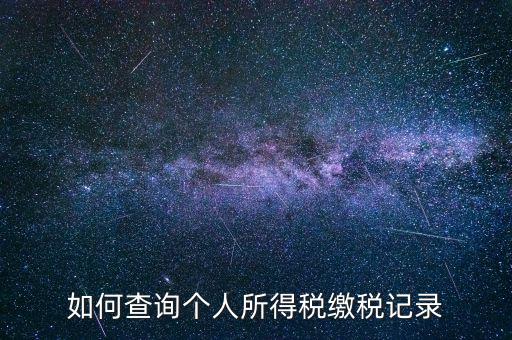 上海地稅局如何查個人所得稅繳稅記錄，上海市工資個稅繳納記錄如何查詢