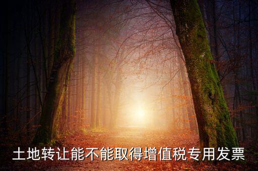 土地轉讓能不能取得增值稅專用發(fā)票