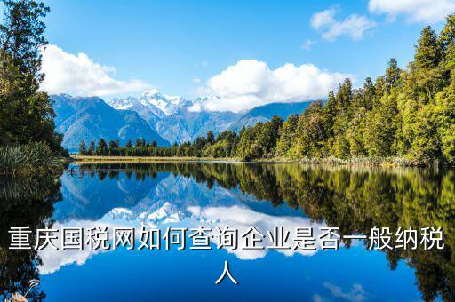如何查詢增值稅一般納稅人資格，重慶國稅網(wǎng)如何查詢企業(yè)是否一般納稅人