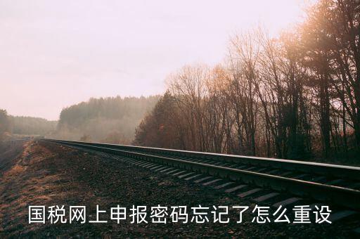 網(wǎng)上稅務(wù)局登錄密碼如何重置，國稅網(wǎng)上申報密碼忘記了怎么重設(shè)