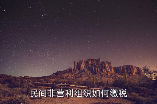 非營利組織如何納稅，民間非營利組織如何繳稅