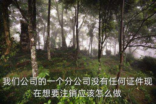外管證不見了如何注銷，注銷外管證沒帶公司章可以嗎