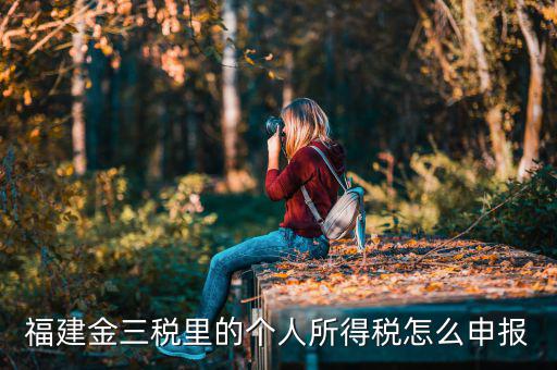 福建省個(gè)稅如何申報(bào)，福建金三稅里的個(gè)人所得稅怎么申報(bào)