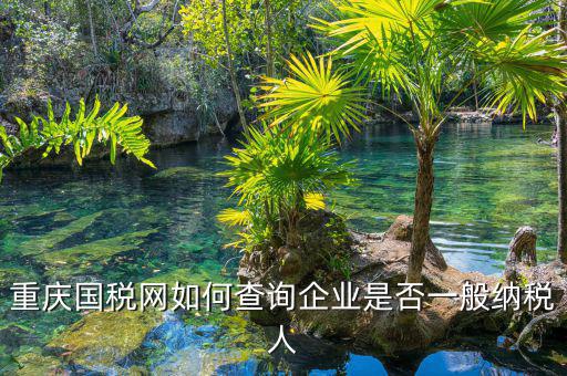 如何在國稅網(wǎng)查是否一般納稅人，怎么在網(wǎng)上查一個單位是不是一般納稅人
