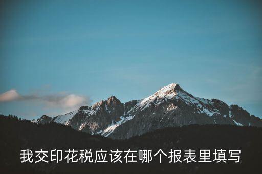 網(wǎng)上印花稅表如何填寫，印花稅申報(bào)報(bào)表要怎么填啊