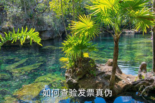 如何查詢專用發(fā)票真?zhèn)尾樵?，如何查?yàn)發(fā)票真?zhèn)?/></a></span><span id=